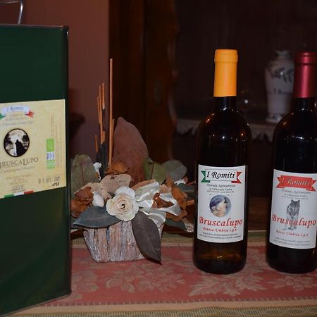 Agriturismo I Romiti 카스틸리오네델라고 외부 사진